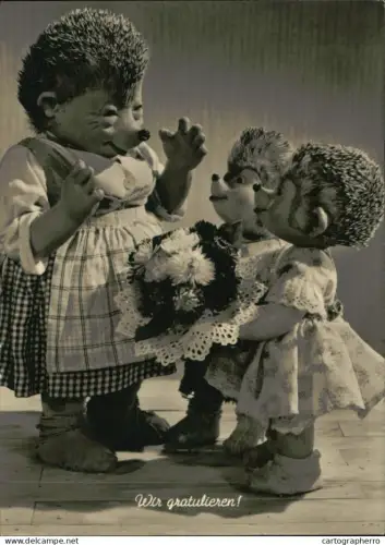 A5919 Hedgehogs Mecki gratulieren