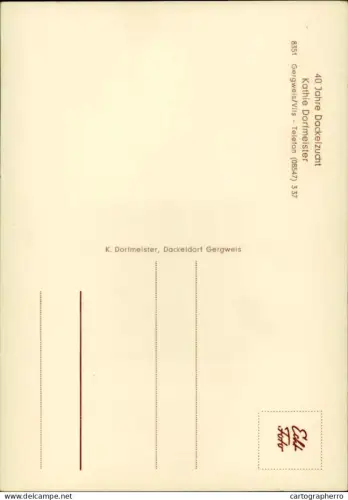 A5919 Rauhbautzig und frech