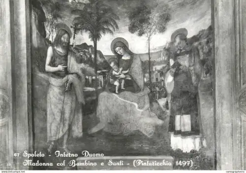 A5371 Italy Spoleto Madonna col Bambino e Santi di Pinturicchio