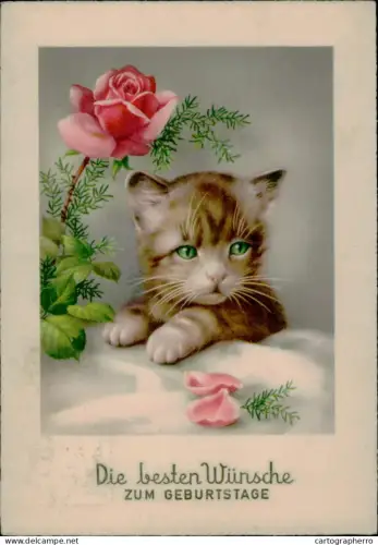 A5919 Adorable drawn cat Birthday greetings postcard