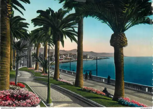 A5370 Italy San Remo palmizi del Corso Imperatrice