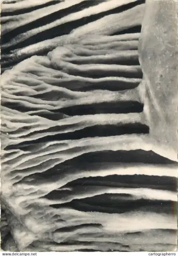 A5370 Monaco Jardin Exotique Grottes de l'Observatoire Jeux d'Orgues