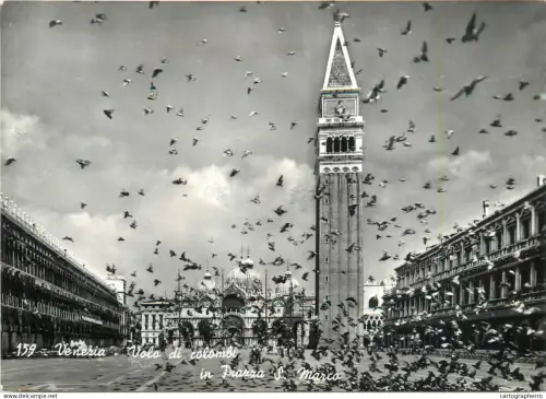 A5354 Italy Venezia Piazza S Marco pigeon flight
