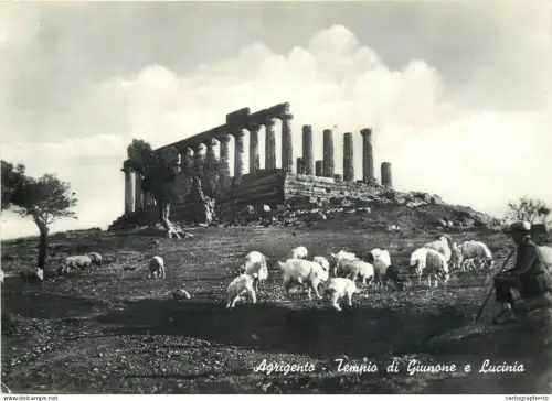 A5354 Italy Agrigento Tempio di Giunone e Lucinia