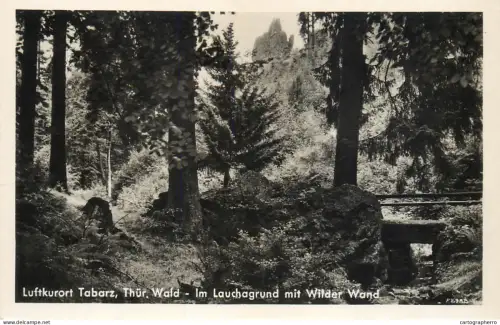 A5349 Germany Luftkurort Tabarz Thuringen Wald