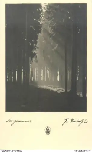 A5348 Forest sunrise picturesque scenery artistic photo place to identify