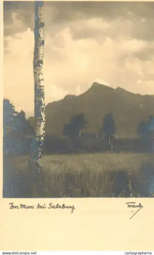 A5347 Austria swamp area near Salzburg