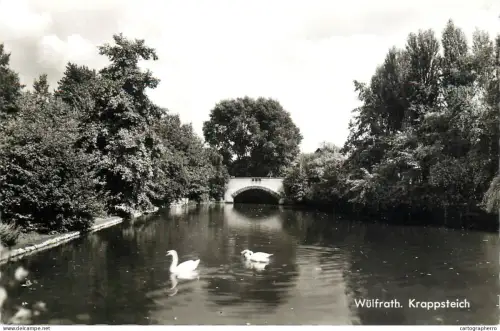 A5346 Germany Wulfrath Krappsteich swans