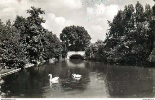 A5346 Germany Wulfrath Krappsteich