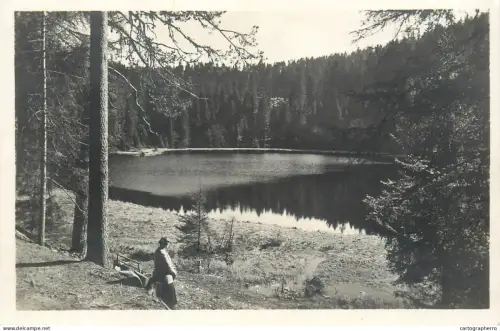 A5345 Germany Schwarzwald Herrenwieser See an der Badener Hohe