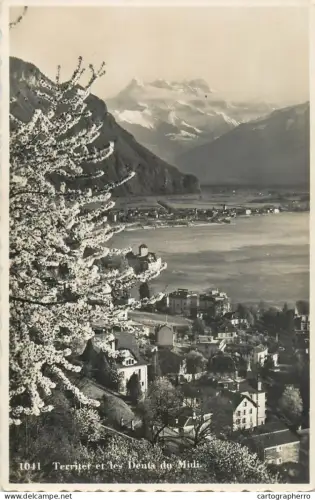 A5330 Switzerland Territet et les Dents du Midi