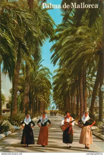 A5395 Spain Palma de Mallorca Passeo de Sagrera