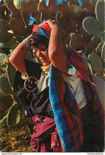A5395 Tunisia bedouin image
