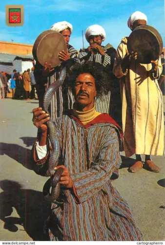 A5395 Morocco snake charmers