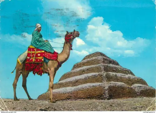 A5395 Egypt Sakkara King Zoser's Step Pyramid & camel rider