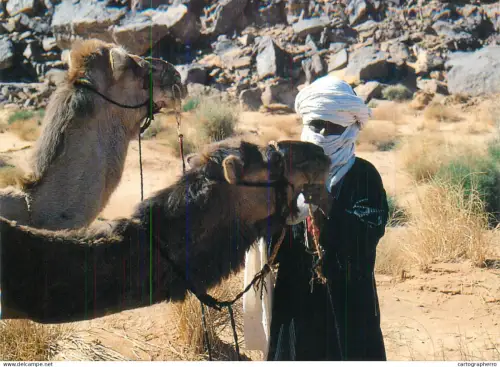 A5395 Algeria man with camels in Sahara desert