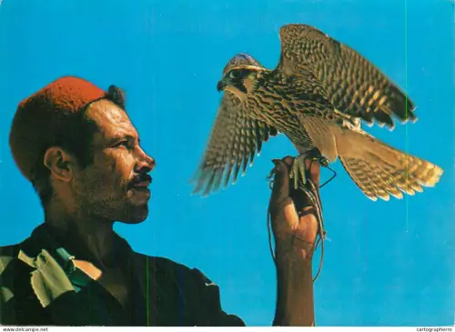 A5395 Tunisia Haouaria Le Pauconnier