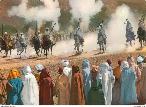 A5395 Morocco La Fantasia horse riding ethnic types and scenes