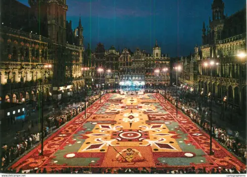 A5394 Belgium Bruxelles Tapis des fleurs vue de nuit