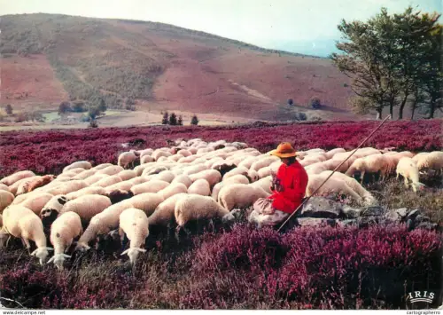 A5392 France Limousin pittoresque Les Monedieres Bergere avec troupeau