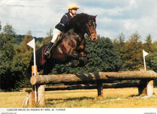 A5392 Cascob Druid ridden by Mrs M. Turner competition obstacle jump