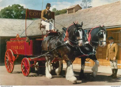 A5392 England Maidenhead Courage Shire Horse Centre