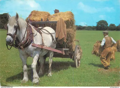 A5392 Rural area types and scenes loading bales of hay