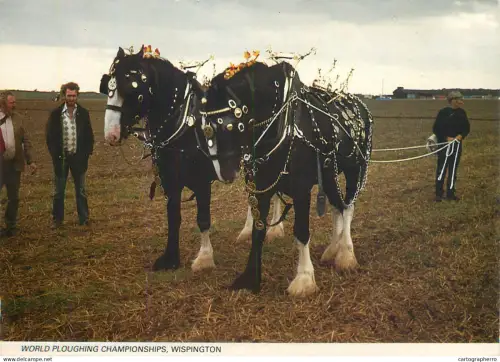 A5392 England Wispington World Ploughing Championships rural area types and scenes