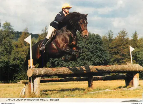 A5392 Cascob Druid jumping obstacle ridden by Mrs M. Turner