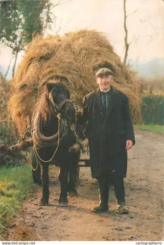 A5392 Rural area types and scenes old man taking hay home with horse drawn car