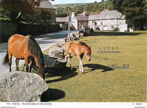 A5392 Animal types horses foal and mare