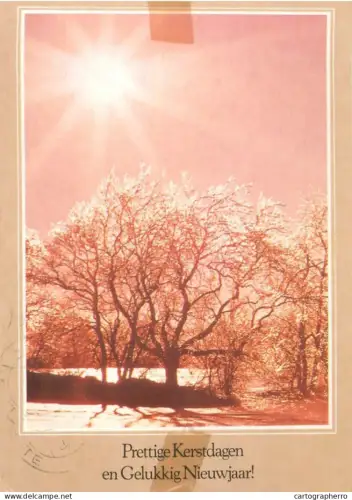 A5390 Winter Holidays greetings winter sun, tree picturesque scenery