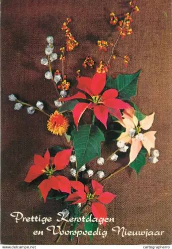 A5390 Winter Holidays greetings floral decorative ornaments