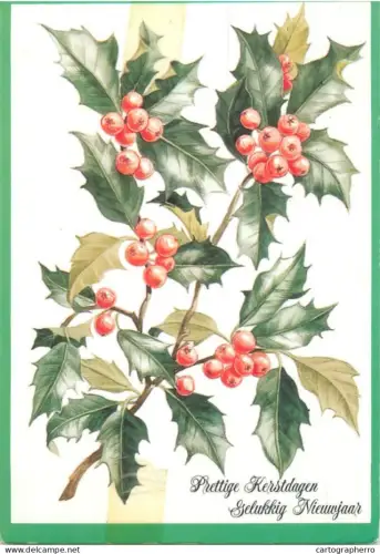 A5390 Winter Holidays greetings floral design