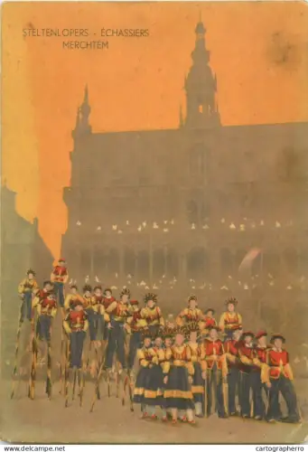 A5389 Belgium Merchtem Steltenlopers Echassiers