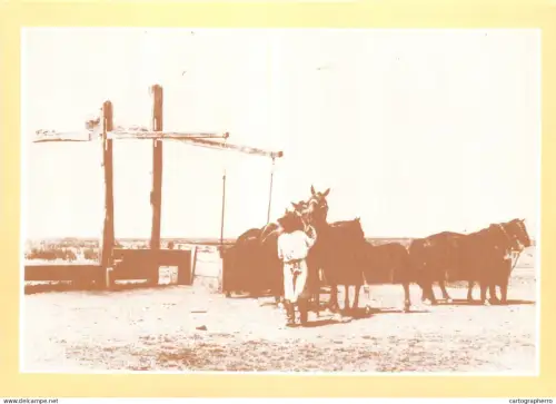 A5388 Horse-herder watering horses at a draw well repro postcard