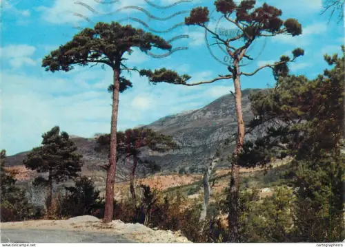 A5387 France Povence pittoresque