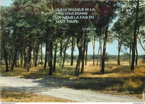 A5386 Rural area trees place to identify