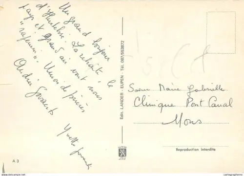 A5386 Rural area trees place to identify