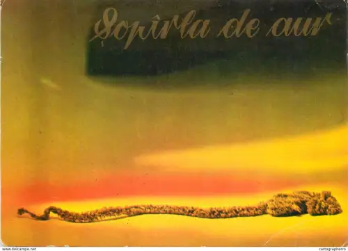 A5385 Romania Brad Muzeul aurului - soparla de aur