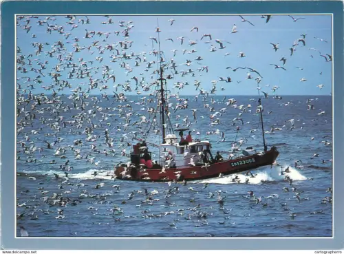 A5381 Boats & sailing ships postcard Retour de peche a la sardine