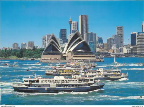 A5381 Boats & sailing ships postcard Australia Sydney Ferryhon ferry race