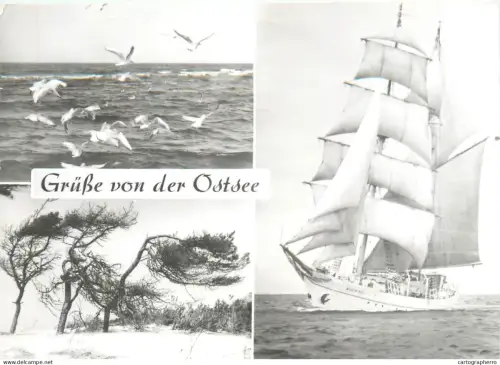 A5859 Gruss aus Ostsee Segelschulschiff der GST Wilhelm Pieck