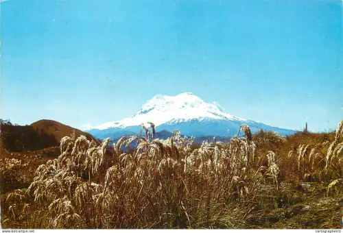 A5398 Ecuador Quito El Antizana