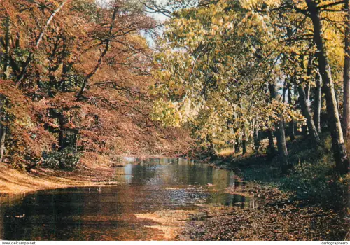 A5398 England Wensleydale autumn colours