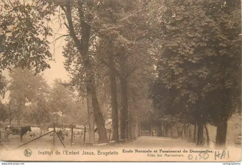 A5856 Belgique Brugelette Institut de l`Enfant Jesus ecole normale et pensionnat de demoiselles cpa