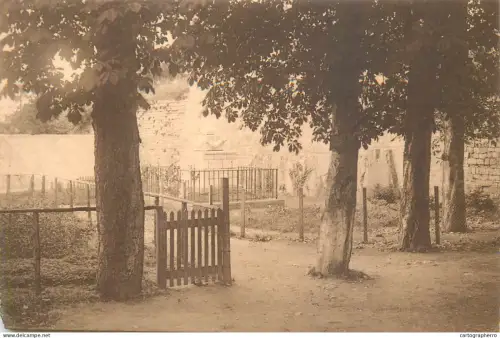 A5856 Belgium Dinant cathedrale monument eleve par les allemands