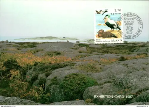 A5927 Åland Aland landscape maximum card 1987