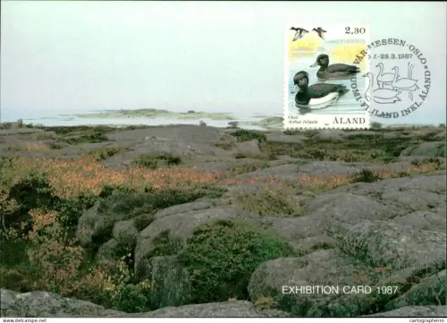 A5927 Åland Aland landscape maximum card 1987