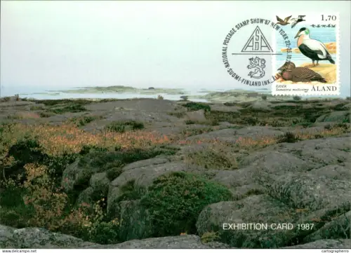 A5927 Åland Aland exhibition maximum card 1987
